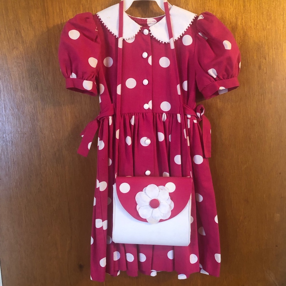 Girl’s Boutique Dress with matching crossbody purse-size 5